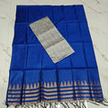 Raw Silk Top with Temple Border Shining Dupatta - TS20