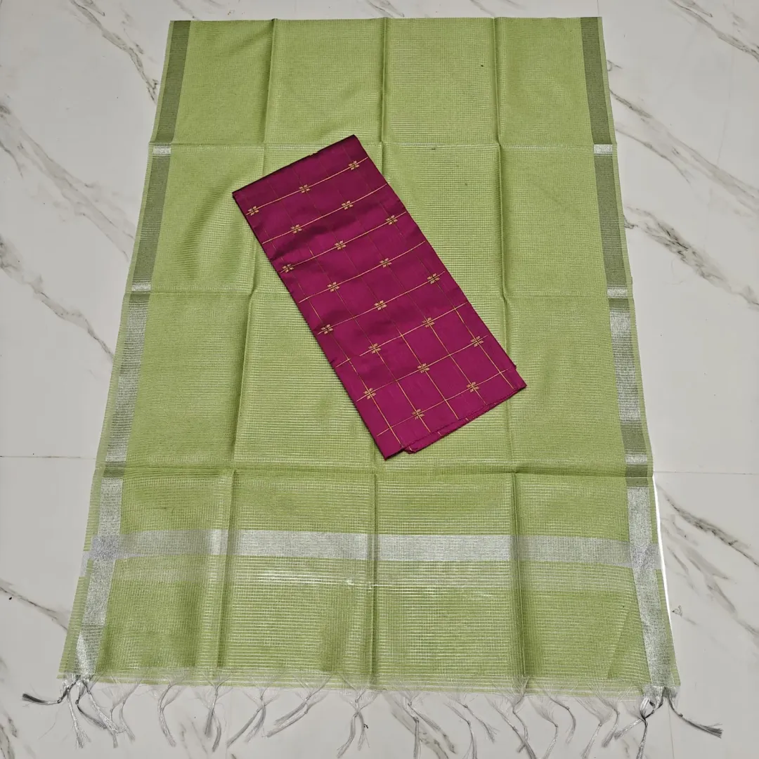 Raw silk Top & Light green duppata